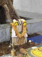 Navaka Navakalashabhisheka Sannidhya Havana (30 Nov 2025)